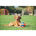 Load image into Gallery viewer, Chuckit! Kick Fetch Large 20cm