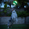 Load image into Gallery viewer, Chuckit! Max Glow Kick Fetch Small 15cm