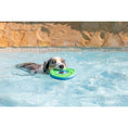 Load image into Gallery viewer, Chuckit! Max Glow Zipflight Medium 21cm
