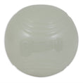 Load image into Gallery viewer, Chuckit! Max Glow Ball 1 Pack Large 7.3cm