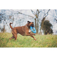 Load image into Gallery viewer, Chuckit! Rugged Flyer Medium