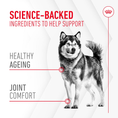 Load image into Gallery viewer, Royal Canin Dog Supplement for Joint & Ageing Soft Chews 240g