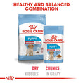 Load image into Gallery viewer, Royal Canin Medium Puppy in Gravy Wet Food