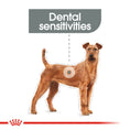 Load image into Gallery viewer, Royal Canin Medium Dental Care Adult Dry Dog Food