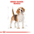 Load image into Gallery viewer, Royal Canin Beagle Adult Dry Dog Food