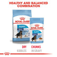 Load image into Gallery viewer, Royal Canin Maxi Puppy in Gravy Wet Food