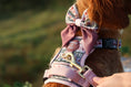 Load image into Gallery viewer, Bella's Jumper Supaw Strong Lite™ Dog Harness (XS-XL): Medium