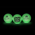 Load image into Gallery viewer, Sportspet High Bounce Balls For Dogs