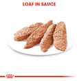 Load image into Gallery viewer, Royal Canin Sterilised Care Adult Wet Dog Food Pouches
