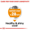 Load image into Gallery viewer, Royal Canin Coat Care Adult Dry Dog Food