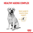 Load image into Gallery viewer, Royal Canin Labrador Retriever Adult 5+ Dry Dog Food
