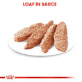 Load image into Gallery viewer, Royal Canin Digestive Care Wet Pouches Adult Dog Food