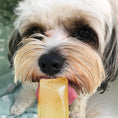 Load image into Gallery viewer, Woof&Brew Paw Pops for Dogs - Freeze Pops for Dogs
