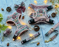 Load image into Gallery viewer, Bella's Jumper Dog Collar + Tag Holder: Large