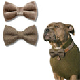 Load image into Gallery viewer, Brown Tweed and Velvet Bow Set: S
