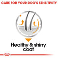 Load image into Gallery viewer, Royal Canin Coat Care Wet Pouches Adult Dog Food