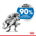 Load image into Gallery viewer, Royal Canin Maxi Light Weight Care Adult Dry Dog Food