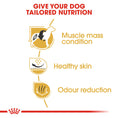 Load image into Gallery viewer, Royal Canin French Bulldog Adult Dry Dog Food