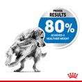 Load image into Gallery viewer, Royal Canin Medium Light Weight Care Adult Dry Dog Food