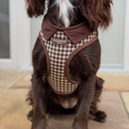 Load image into Gallery viewer, Cotswolds Check Adjustable Neck HARNESS: L