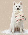 Load image into Gallery viewer, BARK Christmas “Letter to Santa Paws” Dog Toy