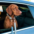 Load image into Gallery viewer, Dog Collar, Pouch and Lead Set - Blue Tweed & Velvet: No engraving / Medium