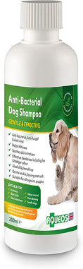 Load image into Gallery viewer, Aqueos Antibacterial, Antiviral & Antifungal Dog Shampoo