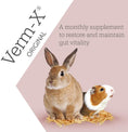 Load image into Gallery viewer, Verm-X Treat Nuggets