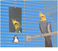 Load image into Gallery viewer, Ferplast ID Plates