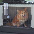 Load image into Gallery viewer, Ferplast Drinky Dog