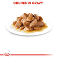Load image into Gallery viewer, Royal Canin Mini Ageing 12+ Senior in Gravy Wet Dog Food