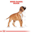 Load image into Gallery viewer, Royal Canin Boxer Puppy Dry Food