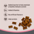 Load image into Gallery viewer, Rosewood Crunchy Salmon Cushions Salmon Cat Treats, Crunchy Bite-Size Snacks, 60g
