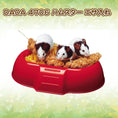 Load image into Gallery viewer, Ferplast Hamster Feeder