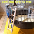 Load image into Gallery viewer, Ferplast Bird Ladders