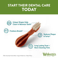 Load image into Gallery viewer, Whimzees Toothbrush Large 150mm (6Pk)