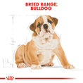 Load image into Gallery viewer, Royal Canin Bulldog Puppy Dry Food