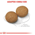Load image into Gallery viewer, Royal Canin Medium Adult Dry Dog Food
