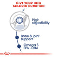Load image into Gallery viewer, Royal Canin Maxi Adult in Gravy Wet Dog Food