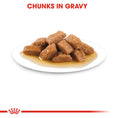 Load image into Gallery viewer, Royal Canin Medium Adult in Gravy Wet Dog Food