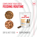Load image into Gallery viewer, Royal Canin Dog Supplement for Skin & Coat Soft Chews 240g