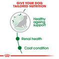 Load image into Gallery viewer, Royal Canin Mini Ageing 12+ Senior in Gravy Wet Dog Food