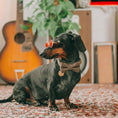 Load image into Gallery viewer, Brown Tweed and Velvet Bow Set: S