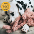 Load image into Gallery viewer, Rosewood My Dog Elephant Plush Toy Interactive Chew & Cuddle Dog Toy