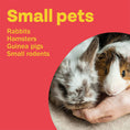 Load image into Gallery viewer, Bob Martin Spot On For Small Animals