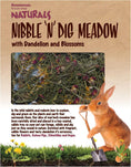 Load image into Gallery viewer, Rosewood Nibble n Dig Meadow Foraging Toy & Treat for Small Animals, Case of 4