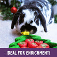 Load image into Gallery viewer, Rosewood Christmas Puzzle Tree Interactive Holiday Dog Toy Mental Stimulation & Chew Fun
