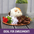 Load image into Gallery viewer, Rosewood Pudding Snuffle Forage Mat Dog Enrichment Toy for Mental Stimulation and Slow Feeding
