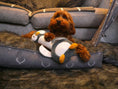 Load image into Gallery viewer, Rosewood Mr Poppy Penguin Dog Toy Interactive Chew & Fetch Set