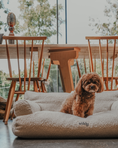 Load image into Gallery viewer, The Teddington Sofa